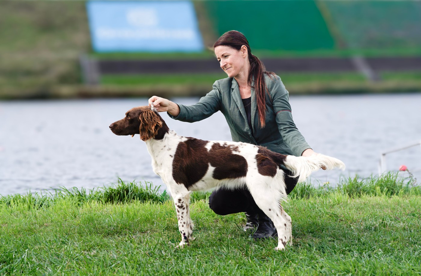 des Garennes du Horn - Expo canine de Gravelines