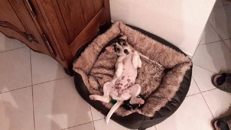 Lizzi dans sa nouvelle famille